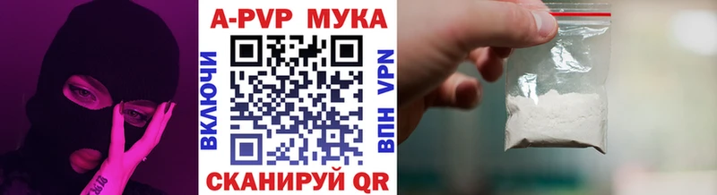 Alfa_PVP СК Теберда