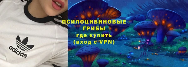 эйфоретик Саяногорск