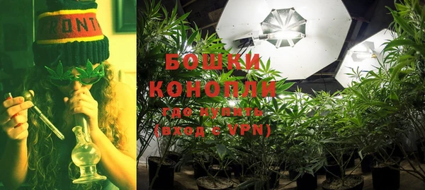 индика Семёнов