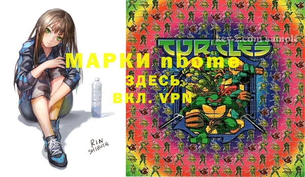 индика Семёнов