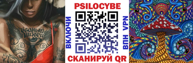 Купить где Теберда Псилоцибиновые грибы мухоморы